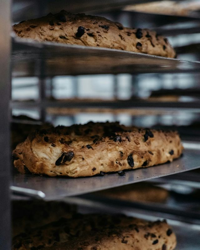 🎄Es duftet nach Weihnachten!

In unserer Backstube herrscht Hochbetrieb, denn hier entstehen gerade unsere köstlichen Stollen – frisch gebacken und später mit einer feinen Puderschicht veredelt. Ein echter Klassiker, der in der Adventszeit einfach nicht fehlen darf! ✨

Unsere Stollen sind in unseren Bäckerläden oder auf Vorbestellung erhältlich. Holt euch euren Lieblingsstollen für die festliche Zeit und damit ein Stück Weihnachtsfreude nach Hause. ❤️
